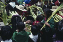 Palm sunday celebrations.