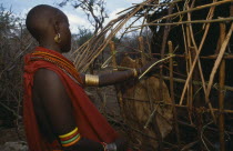 Samburu woman building a traditional house near Maralal.