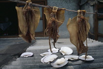 Squid hung out to dry in the sun in east coast fishing port.