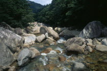 Sorak Mountains.  Stream flowing over large rocks and boulders.