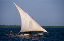 Dhow traditional sailing baot.