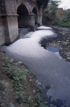 Polluted River