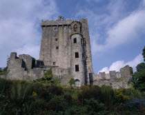 Blarney Castle  grey stone castle with garden in front