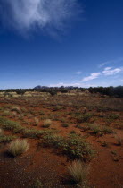 General desert landscape.