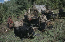 Forest halt for family and yak herd retreating from upland pastures.