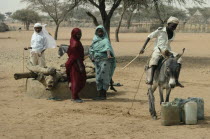 People using donkey to help pull up water from well. Kurdufan