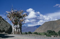 China, Tibet, Shigatse, Prayer flags above a chorten on the roadside.