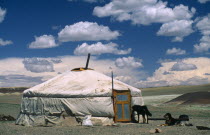 Mongolia, South Gobi, Dogs guarding Yurt or ger.