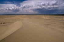 Vast expanse of desert sand dunes and cloudscape.