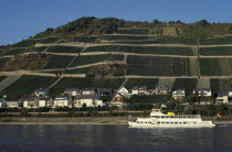 Lorch.  Ferry on the River Rhine with waterside houses and hillside vineyards behind.