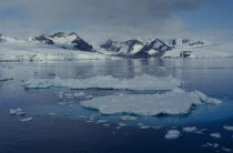 Ice landscape.