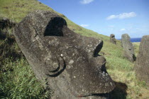 Rano Raraku Crater. Moai Statues abandonned in transit on the slopes of crater