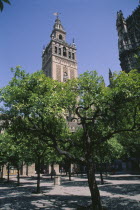 La Giralda Cathedral minaret seen from Patio De Los Naranjos in the Cathedral grounds Andalusia