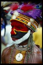 Eastern Highlander with head dress made of dyed chicken feathers and heavily painted face at Goroka Show.