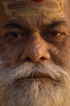 Close portrait of elderly man with beard and yellow caste mark.