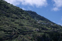 Buildings built on terraced hillside seen from the North coast road