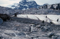 Port Lockroy. British Base abandoned in 1964 with penguins in the foreground