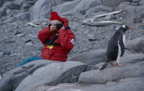 Port Lockroy. Tourist photographing Gentoo Penguin