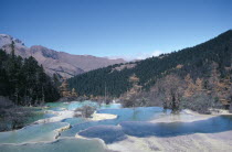 View across pools formed by calcium carbonate in water towards green forest and mountains