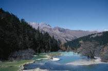 View across pools formed by calcium carbonate in water towards green forest and mountains