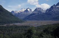 View across green forest towards partially snow capped mountains