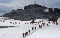 Tourists at chinstrap penguin rookery.