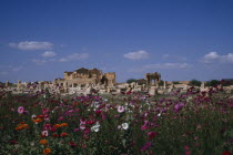 Roman ruins viewed across field of wild flowers