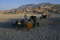 Children herding sheep away from the village and hills in the background Gurna