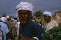 Portrait of Egytpian man in camel market Darow