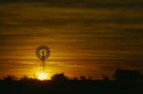 Orange sunset over silhouetted windmill near Fitzroy Crossing.