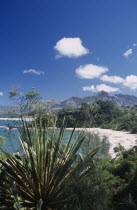 Libanona Beach with view across plants and vegetation towards sandy stretch of beach and sea with mountains in the distance