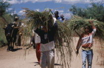 Near Antsirabe. Rural workers returning from fields with zebu cattle and cart behind children carrying crops on their heads