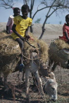 Girls riding donkeys carrying straw