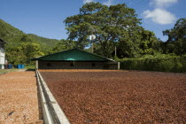 Cacao drying facility with moveable roof in background.