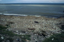 Polluted seashore.