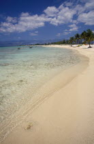 Empty strip of sandy beach  clear shallow water and palms near Trinidad.