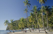 Sunbathers on stretch of sandy beach with palm trees to waters edge.