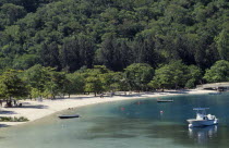 Quiet sandy beach and tree covered backdrop.