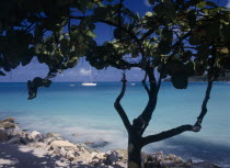 View across clear  aquamarine water towards distant yachts divided and partly framed by tree in shadow in the foreground.