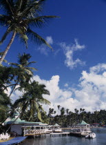 View over water with overhanging palm trees beside Marigot Bay Beach Club.