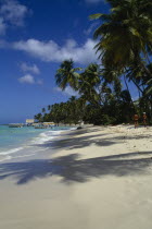 View along the coconut palm tree lined beach towards the jetty