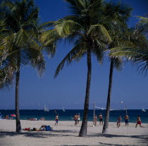 Beach volleyball seen through Palm trees