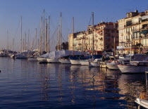 Boats docked at Cannes Harbour.