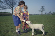 A young boy and girl feeding a lamb with a bottle in a field. Netherlands