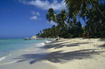 View along shoreline and palm tree lined beach