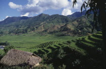 Rice terraces on the foothills of mountains