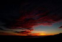 Shark Bay Sunset Antipodean Aussie Australian Oceania Oz