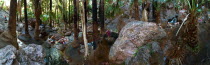 Panorama of the Zebedee Springs on El Questro HomesteadAntipodean Aussie Australian Oceania Oz