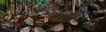 Panorama of the Zebedee Springs on El Questro HomesteadAntipodean Aussie Australian Oceania Oz