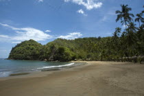 View along a tropical beach.